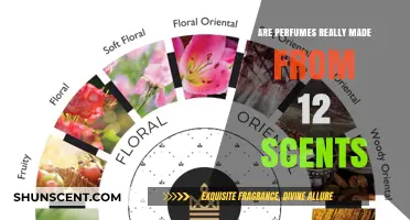 Perfumes and their 12 Core Scents: The Truth