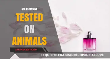 Cruelty-Free Scents: Are Perfumes Tested on Animals?