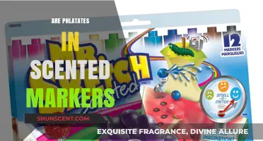 Are Phthalates in Scented Markers Harming Your Health?
