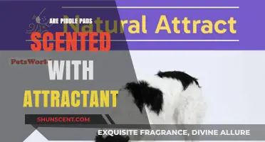 Do Piddle Pads Use Scented Attractants for Pet Training?