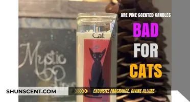 Pine Scented Candles and Cats: Are They a Safe Combo?