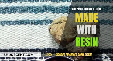 Incense Blocks: Resin-Based or Not?