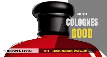 Polo Colognes: Are They Worth the Hype?