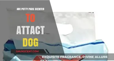 Do Scented Potty Pads Attract Dogs? Uncovering the Truth