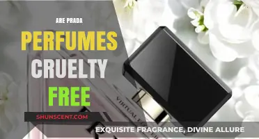 Prada's Perfume: Cruelty-Free or Not?