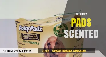 Are Puppy Pads Scented? Uncovering the Truth for Pet Owners