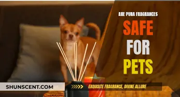 Pet-Friendly Pura: Safe Scents for Your Home and Furry Friends