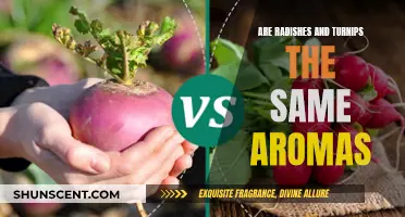 Radishes vs Turnips: Aromatic Differences Explored