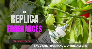 The Replica Fragrance Debate: Are They Worth It?