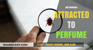 How Scents Attract Cockroaches: The Perfume Factor