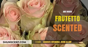 Do Roses Smell Like Frutetto? Unraveling the Scent Mystery