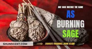 Burning Sage vs. Sage Incense: What's the Difference?