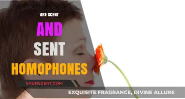 Scent vs. Sent: Unraveling the Homophone Mystery in Everyday Language