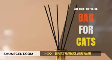 Are Scent Diffusers Safe for Cats? What Pet Owners Need to Know