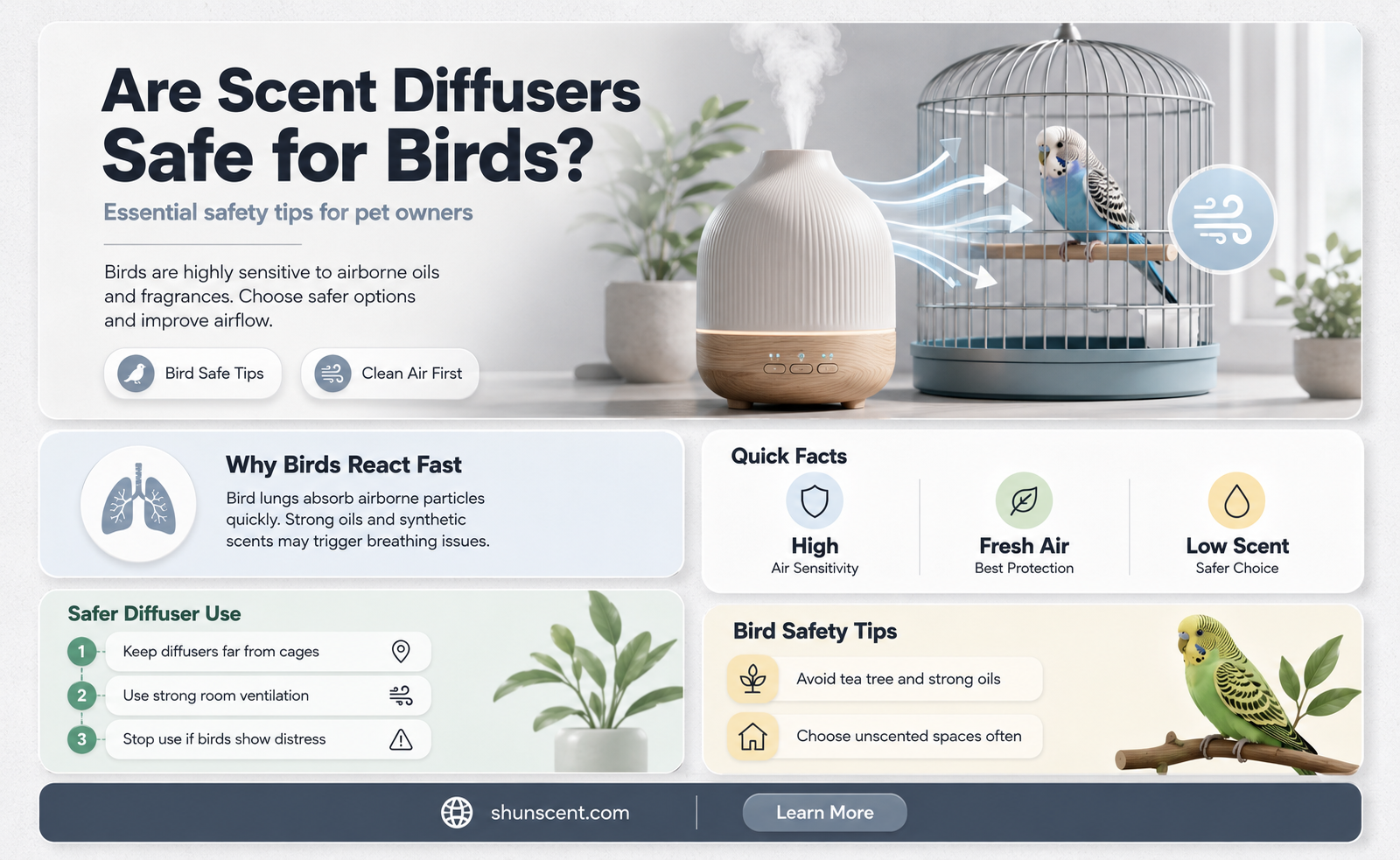 are scent diffusers safe for birds