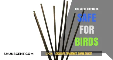 Are Scent Diffusers Safe for Birds? Essential Tips for Pet Owners
