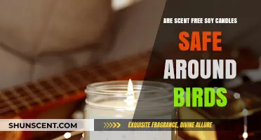Scent-Free Soy Candles: Safe for Birds or Potential Hazard?