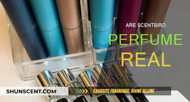 Scentbird: Legit or a Scam?