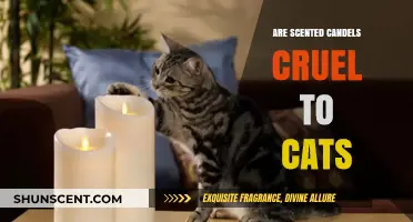 Scented Candles and Cats: Uncovering Potential Dangers for Feline Friends