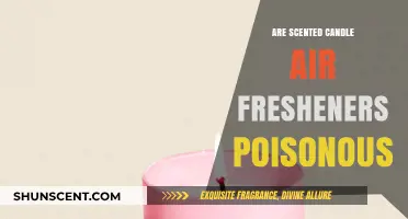 Are Scented Candle Air Fresheners Toxic? Uncovering the Hidden Dangers
