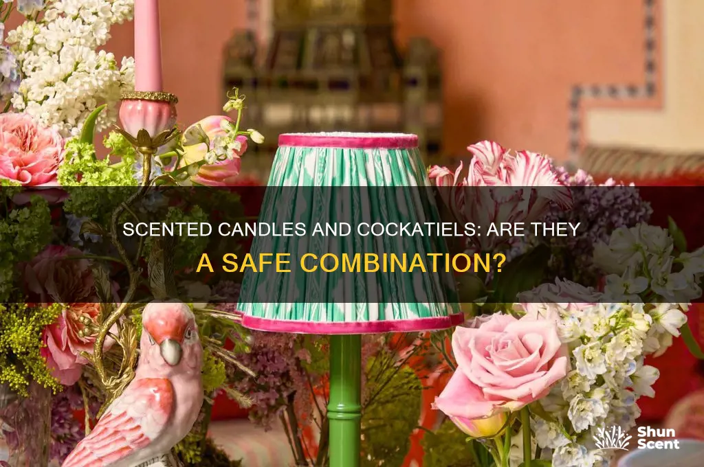 are scented candles bad for cockatiels