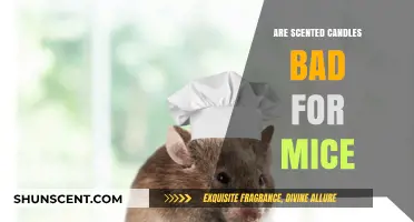 Scented Candles and Mice: Are They a Harmful Combination?