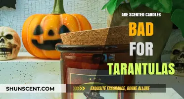 Scented Candles and Tarantulas: Potential Risks and Safe Alternatives