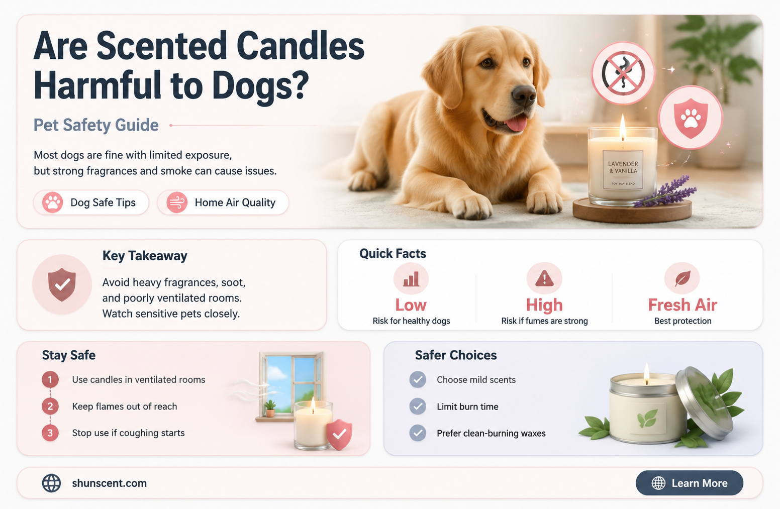 are scented candles poisonous to dogs