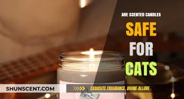Are Scented Candles Safe for Cats? A Pet Owner's Guide