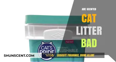 Are Scented Cat Litters Harmful? Uncovering the Truth for Pet Owners