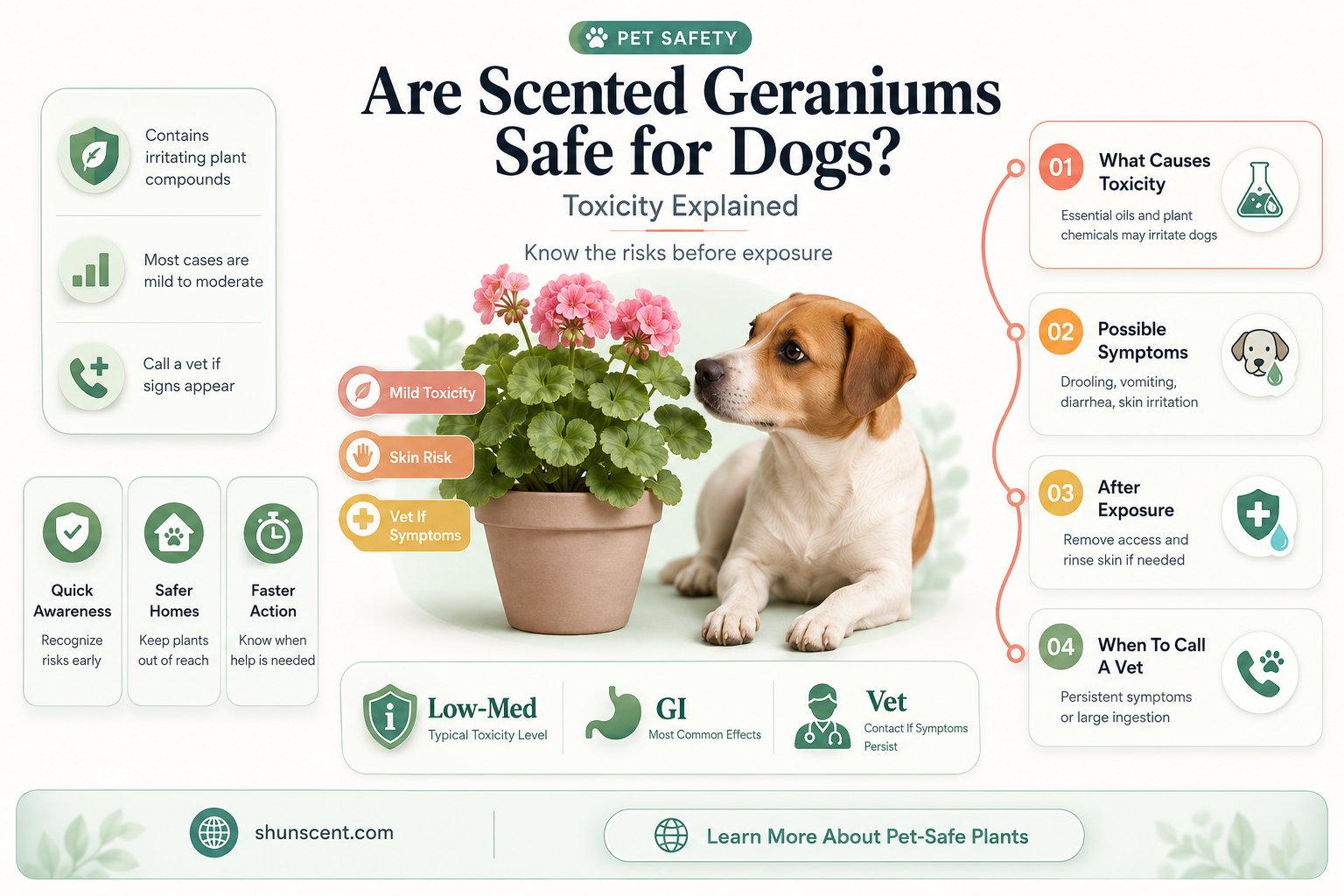 are scented geraniums toxic to dogs