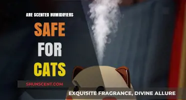 Scented Humidifiers and Cats: Safety Concerns and Best Practices