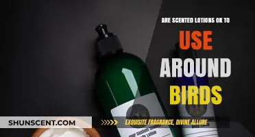 Scented Lotions and Birds: Safe or Harmful for Your Feathered Friends?