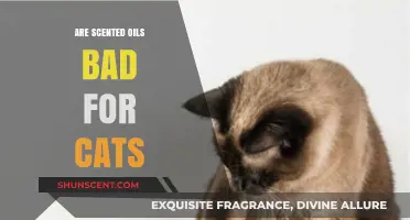 Are Scented Oils Harmful to Cats? Essential Safety Tips
