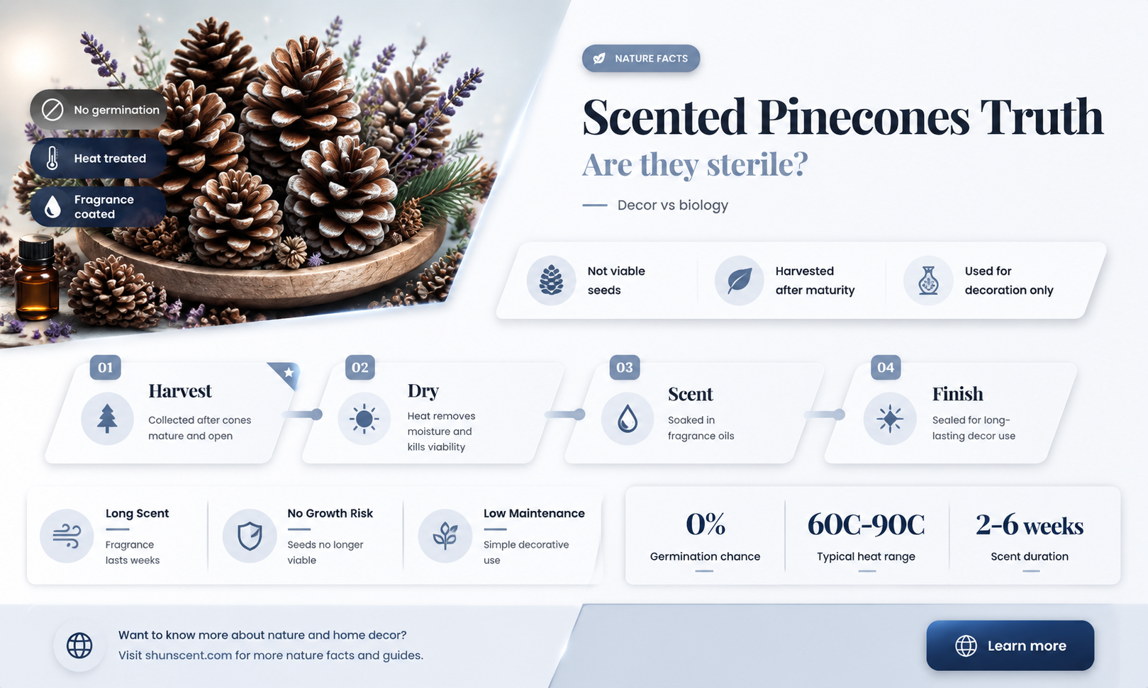 are scented pinecones sterile