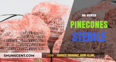 Are Scented Pinecones Sterile? Uncovering the Truth Behind Their Fertility