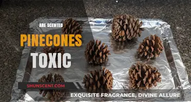 Are Scented Pinecones Toxic? Uncovering the Truth for Pet Owners