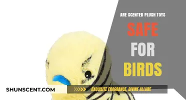Scented Plush Toys: Are They Safe for Your Feathered Friends?