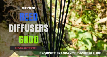 Are Scented Reed Diffusers Good? Benefits, Drawbacks, and Tips