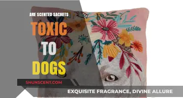 Are Scented Sachets Safe for Dogs? Potential Toxicity Explained