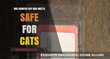 Are Scented Soy Wax Melts Safe for Cats? Find Out