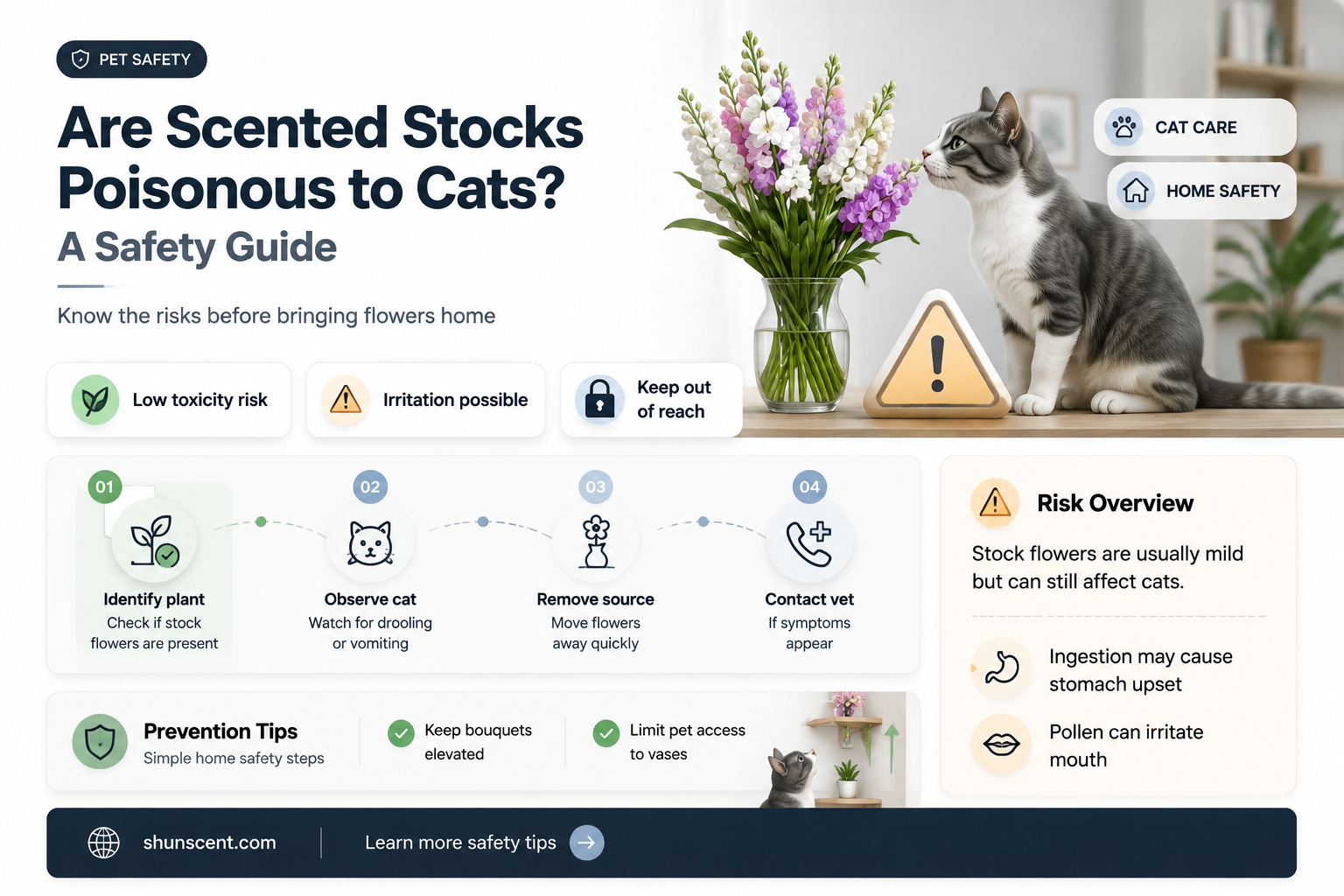 are scented stocks poisonous to cats