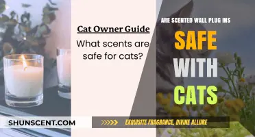 Are Scented Wall Plug-Ins Safe for Cats? What Pet Owners Need to Know