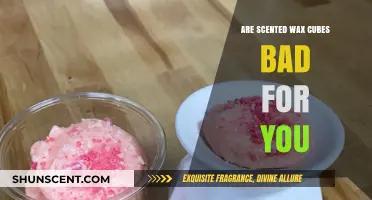 Are Scented Wax Cubes Harmful? Health Risks Explained