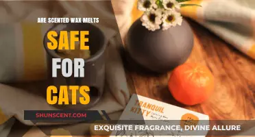 Are Scented Wax Melts Safe for Cats? What Pet Owners Need to Know