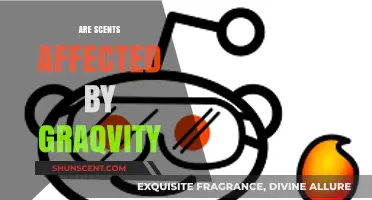Does Gravity Influence Scents? Exploring the Science Behind Smell and Gravity
