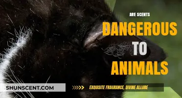 Are Scents Harmful? Understanding Fragrance Risks for Pets and Wildlife