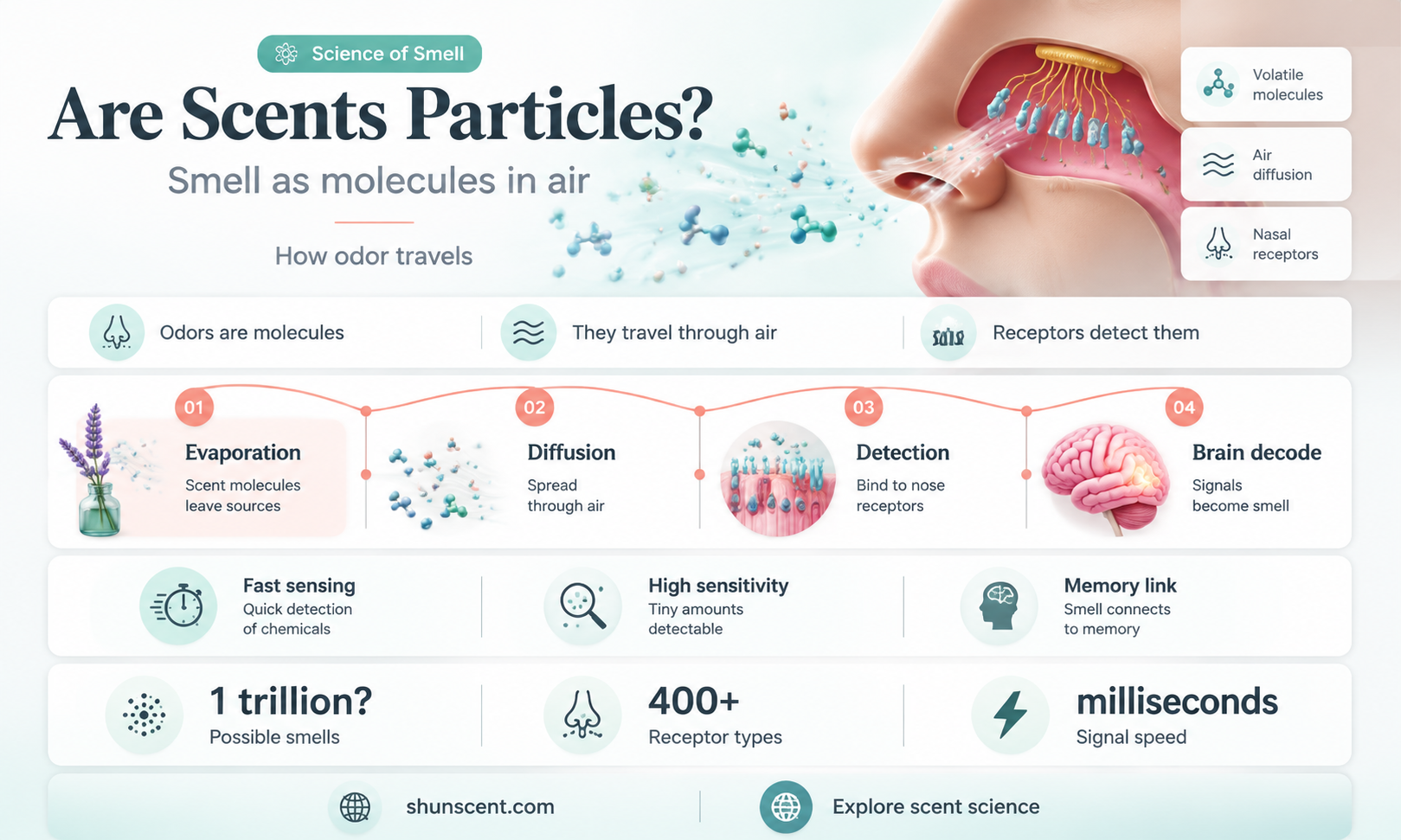 are scents particles