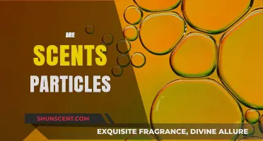 Are Scents Particles? Unraveling the Science of Smell and Molecules