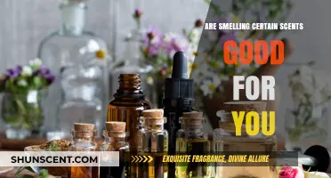 Aromatherapy Benefits: How Certain Scents Boost Health and Well-Being